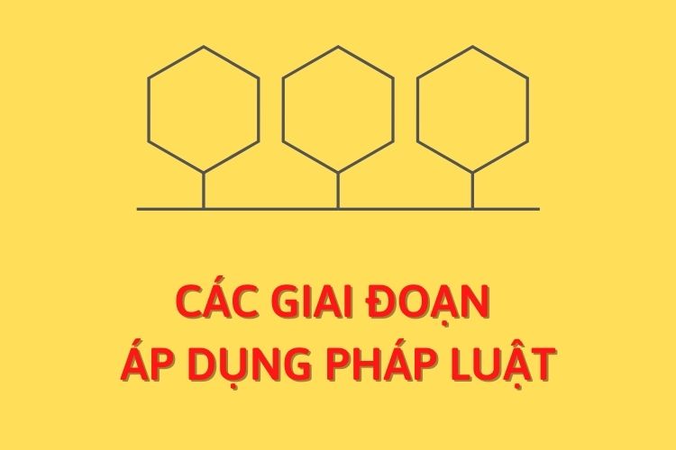 Các giai đoạn của quá trình áp dụng pháp luật