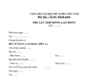 Mẫu Phụ lục Hợp đồng lao động theo Bộ luật Lao động 2019