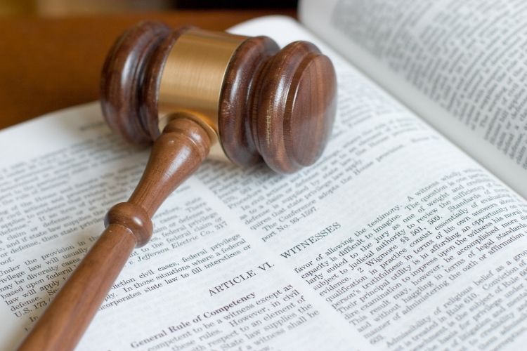 Người làm chứng trong tố tụng dân sự