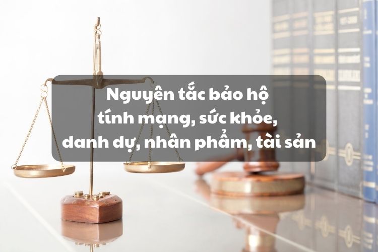 Nguyên tắc bảo hộ tính mạng, sức khỏe, danh dự, nhân phẩm, tài sản của cá nhân; danh dự, uy tín, tài sản của pháp nhân