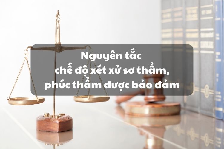 Nguyên tắc chế độ xét xử sơ thẩm, phúc thẩm được bảo đảm