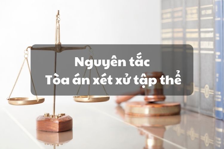 Nguyên tắc Tòa án xét xử tập thể