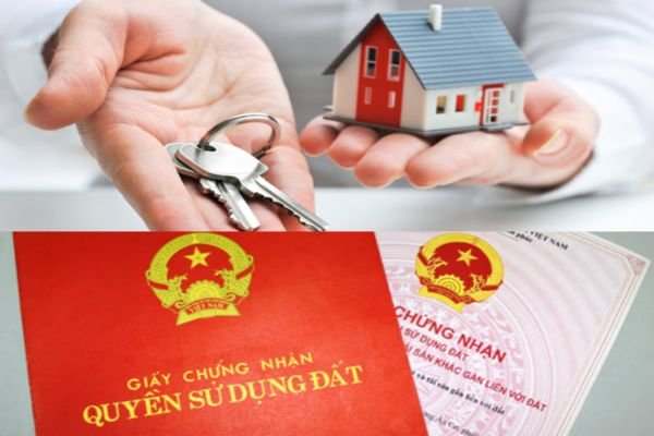 Giá chuyển nhượng và hiệu lực chuyển nhượng quyền sử dụng đất