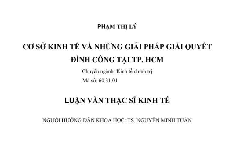 Luận văn Cơ sở kinh tế và những giải pháp giải quyết đình công tại TP.HCM