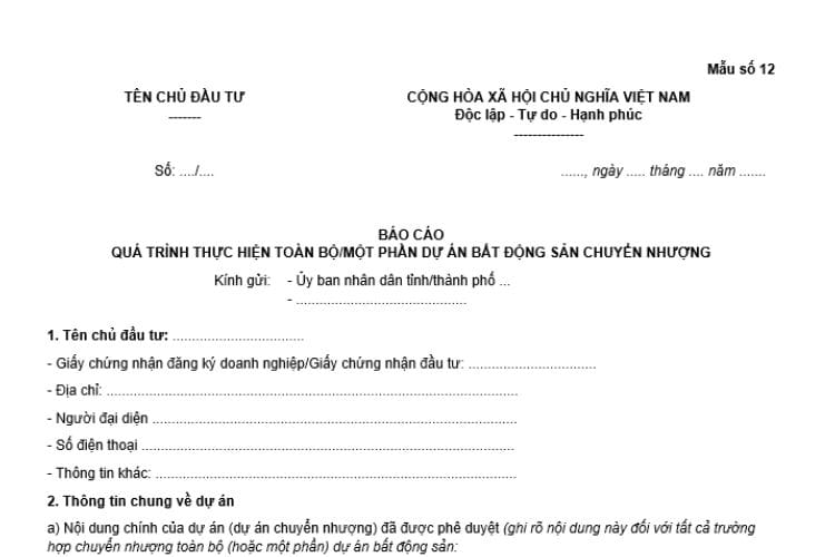 Mẫu báo cáo quá trình thực hiện dự án bất động sản