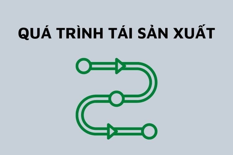 Các khâu của quá trình tái sản xuất xã hội