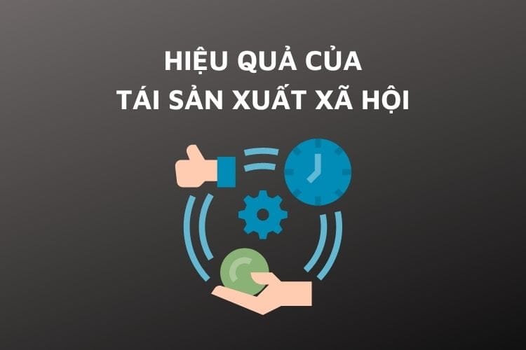 Hiệu quả của tái sản xuất xã hội