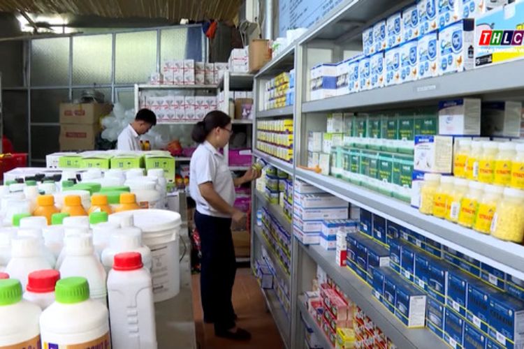 Thủ tục cấp lại giấy chứng nhận đủ điều kiện buôn bán thuốc thú y