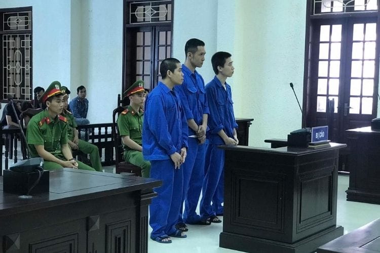 Tổ chức sử dụng trái phép chất ma túy có bị truy cứu trách nhiệm hình sự?