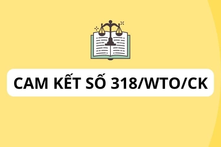 Cam kết số 318/WTO/CK của Chính phủ Nước Cộng hòa xã hội chủ nghĩa Việt Nam về dịch vụ