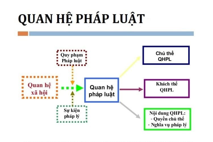 Bài tập xác định cấu trúc quy phạm pháp luật, quan hệ pháp luật
