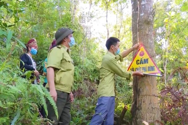 Điều kiện an toàn về phòng cháy đối với khu rừng