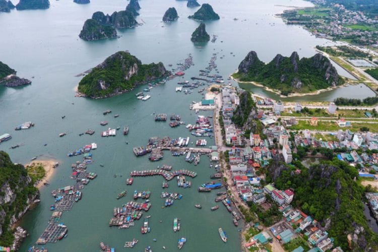 Đơn vị hành chính - kinh tế đặc biệt là gì?