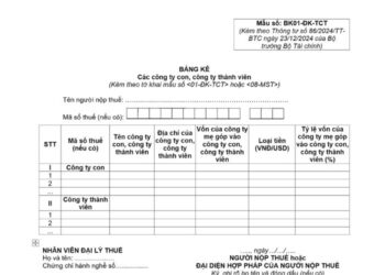 Bảng kê các công ty con, công ty thành viên (Mẫu số: BK01-ĐK-TCT)