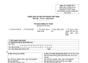 Tờ khai đăng ký thuế dùng cho tổ chức (Mẫu số 01-ĐK-TCT)