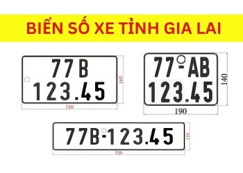 Ký hiệu biển số xe 77 là của tỉnh Gia Lai