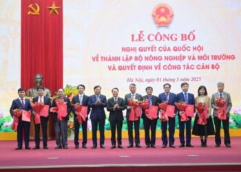 Cơ cấu tổ chức của Bộ Nông nghiệp và Môi trường