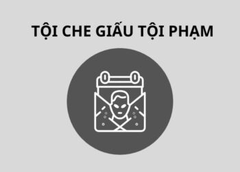 Tội che giấu tội phạm theo Bộ luật Hình sự 2015