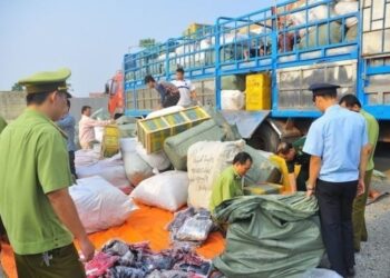 Tội vận chuyển trái phép hàng hóa, tiền tệ qua biên giới