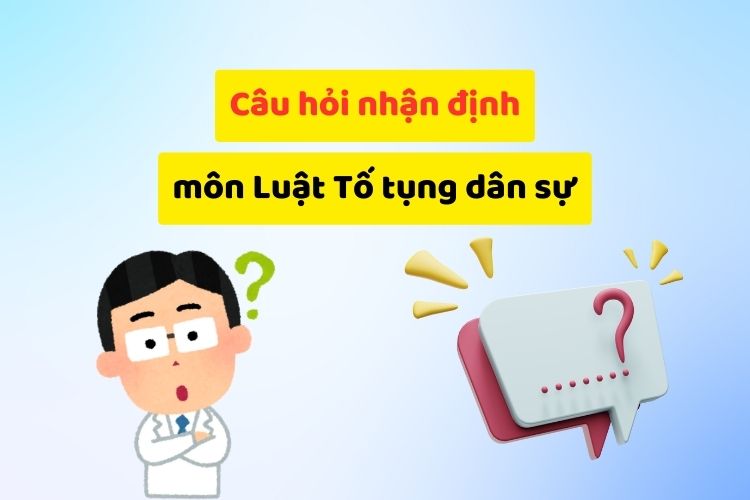 Câu hỏi nhận định đúng sai môn luật tố tụng dân sự (có đáp án)