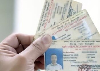 Các lỗi vi phạm bị tước quyền sử dụng giấy phép lái xe