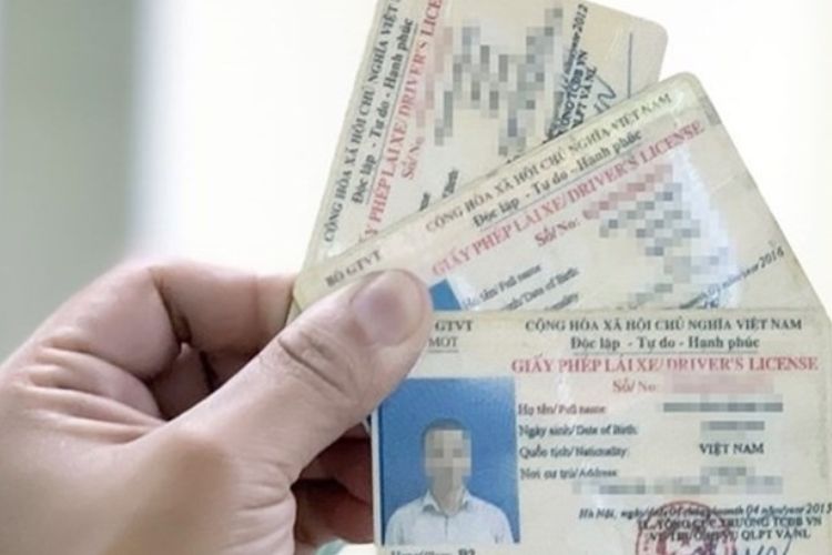 Các lỗi vi phạm bị tước quyền sử dụng giấy phép lái xe