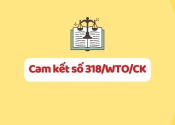 Cam kết số 318/WTO/CK của Chính phủ Nước Cộng hòa xã hội chủ nghĩa Việt Nam về dịch vụ