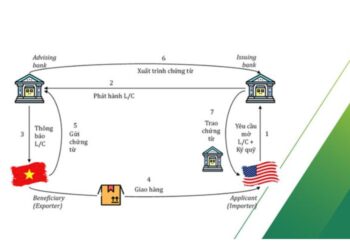 Thư tín dụng (L/C) là gì? Tìm hiểu quy trình L/C