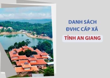 Tỉnh An Giang có bao nhiêu xã, phường?