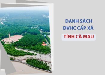 Tỉnh Cà Mau có bao nhiêu xã, phường?