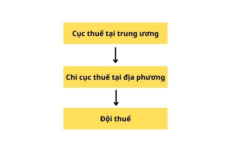 Cục thuế là gì? Cơ cấu tổ chức của Cục thuế