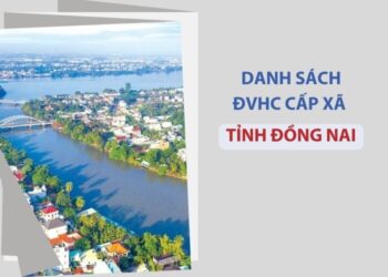 Tỉnh Đồng Nai có bao nhiêu xã, phường?