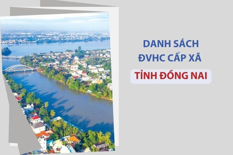 Tỉnh Đồng Nai có bao nhiêu xã, phường? 1 Tỉnh Đồng Nai có bao nhiêu xã, phường?