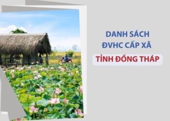 Tỉnh Đồng Tháp có bao nhiêu xã, phường?