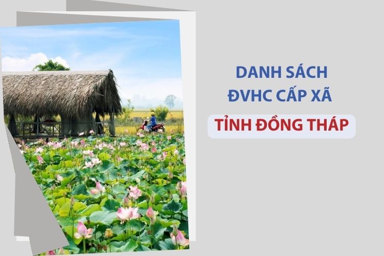 Tỉnh Đồng Tháp có bao nhiêu xã, phường? 1 Tỉnh Đồng Tháp có bao nhiêu xã, phường?