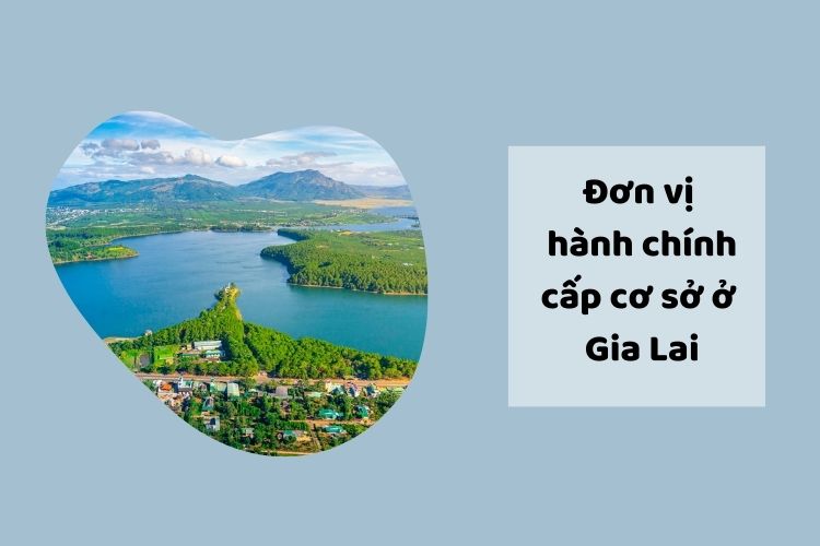Gia Lai có bao nhiêu xã, phường, thị trấn?