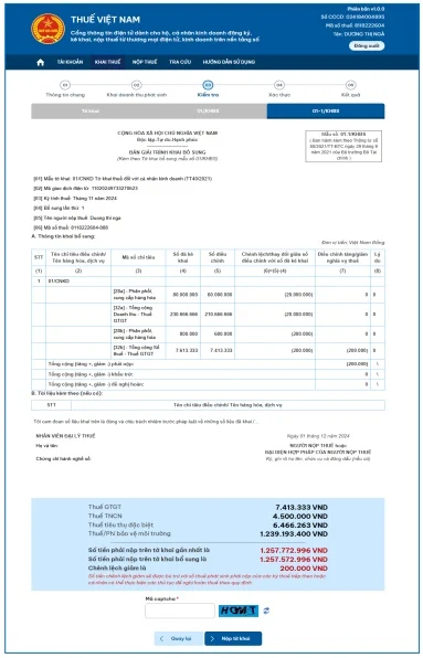 Bản giải trình khai bổ sung