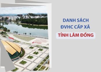 Tỉnh Lâm Đồng có bao nhiêu xã, phường?