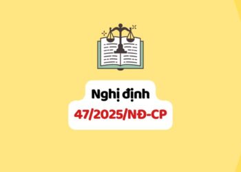 Nghị định 47/2025/NĐ-CP quy định chức năng, nhiệm vụ, quyền hạn và cơ cấu tổ chức của Đài Truyền hình Việt Nam