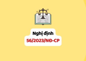 Nghị định 56/2023/NĐ-CP sửa đổi Nghị định 96/2016/NĐ-CP quy định điều kiện về an ninh, trật tự đối với một số ngành, nghề đầu tư kinh doanh có điều kiện, Nghị định 99/2016/NĐ-CP về quản lý và sử dụng con dấu, Nghị định 137/2020/NĐ-CP quy định về quản lý, sử dụng pháo có điều kiện