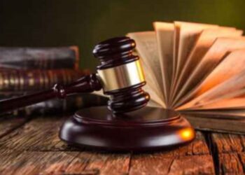 Nguồn của luật hành chính là gì? Phân loại nguồn của luật hành chính