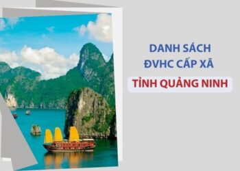 Tỉnh Quảng Ninh có bao nhiêu xã, phường?