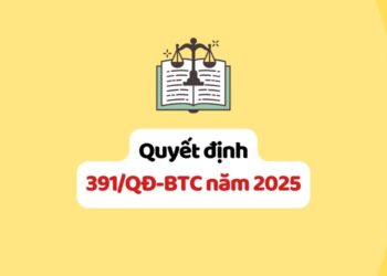 Quyết định 391/QĐ-BTC năm 2025 quy định chức năng, nhiệm vụ, quyền hạn và cơ cấu tổ chức của Bảo hiểm xã hội Việt Nam thuộc Bộ Tài chính