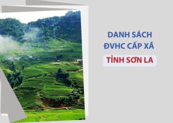Tỉnh Sơn La có bao nhiêu xã, phường?