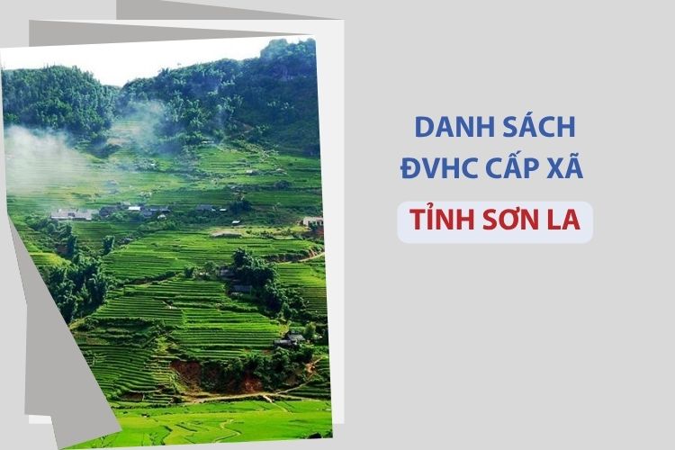 Tỉnh Sơn La có bao nhiêu xã, phường? 1 Tỉnh Sơn La có bao nhiêu xã, phường?