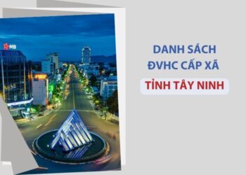 Tỉnh Tây Ninh có bao nhiêu xã, phường?
