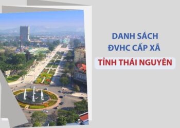 Tỉnh Thái Nguyên có bao nhiêu xã, phường?