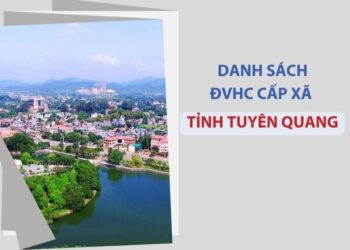 Tuyên Quang có bao nhiêu xã, phường?