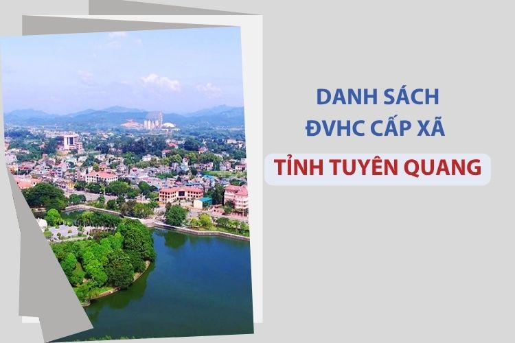 Tuyên Quang có bao nhiêu xã, phường?