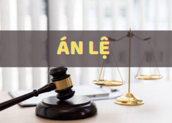 Án lệ là gì? Quy định thông qua và công bố án lệ 2 Án lệ là gì? Quy định thông qua và công bố án lệ